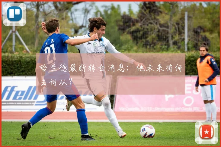 哈兰德最新转会消息:他未来将何去何从?