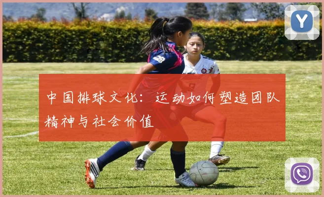 中国排球文化:运动如何塑造团队精神与社会价值